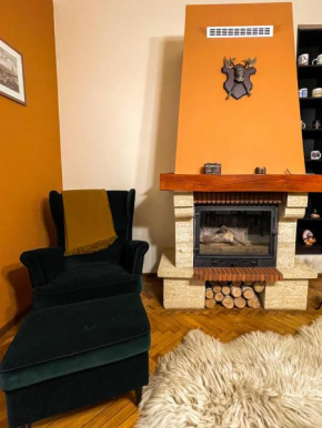 Central apartment w/ fire place - ground floor